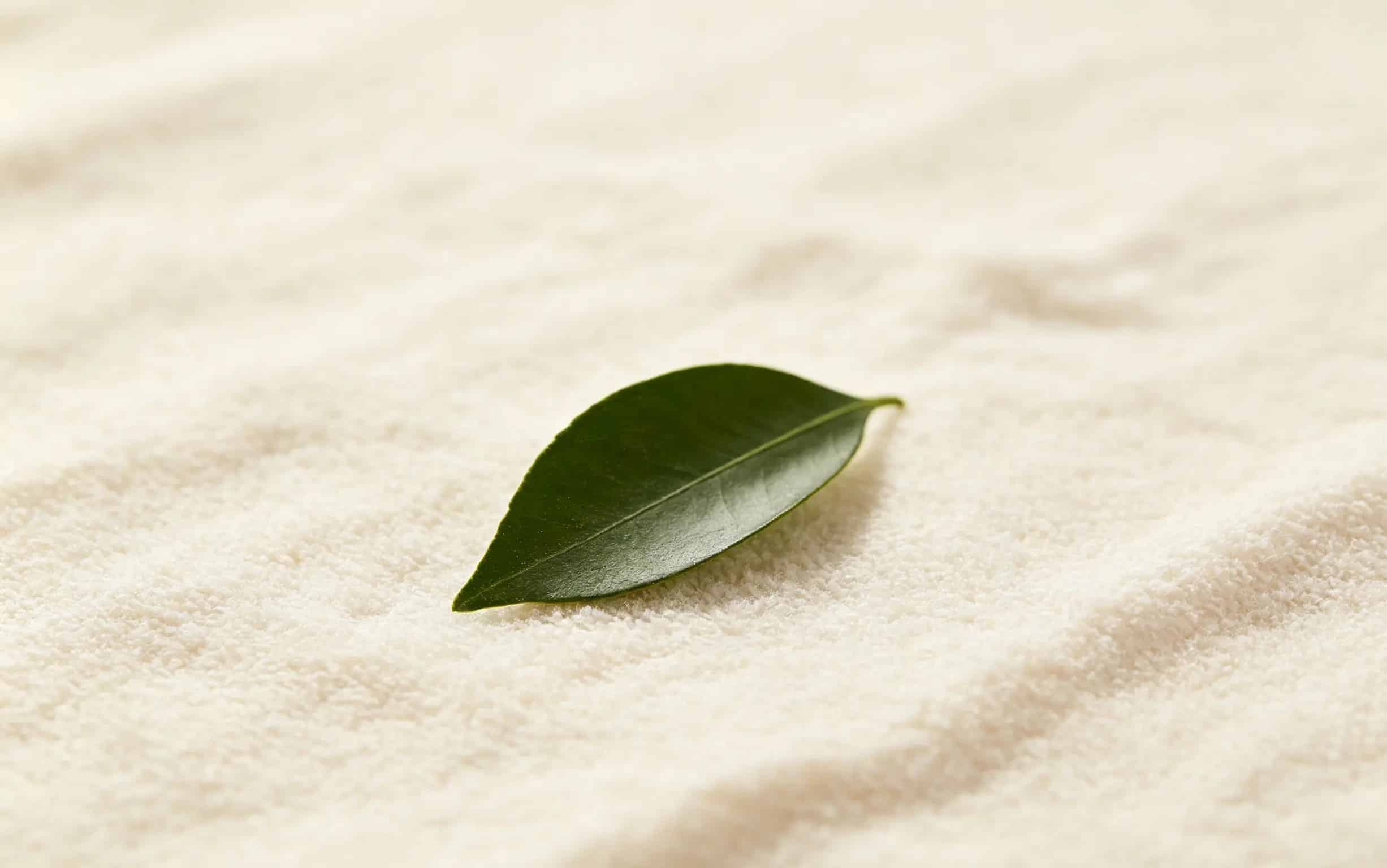 A green leaf resting on a microfiber cloth